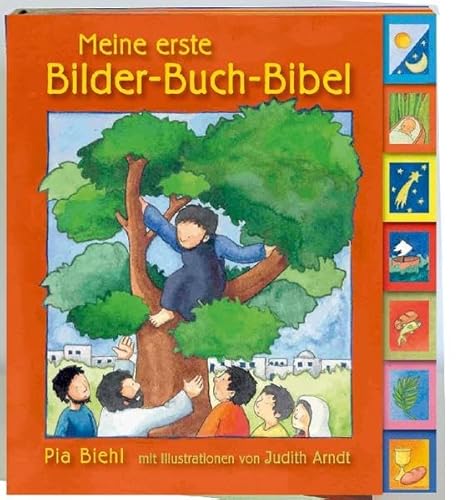 Stock image for Meine erste Bilder-Buch-Bibel for sale by medimops