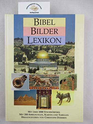 Stock image for Bibel Bilder Lexikon for sale by medimops
