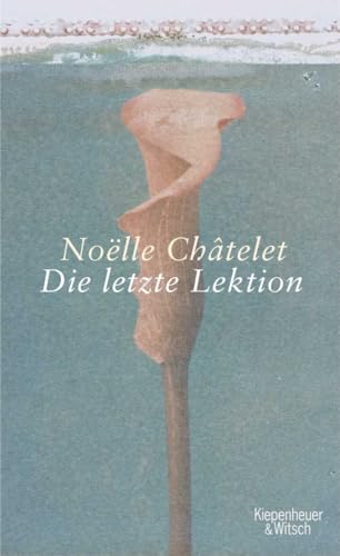 Beispielbild fr Die letzte Lektion Noe??lle Chtelet. Aus dem Franz. von Uli Wittmann zum Verkauf von Antiquariat Buchhandel Daniel Viertel