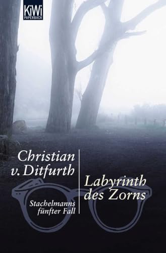 Labyrinth des Zorns: Stachelmanns fünfter Fall (Stachelmann ermittelt, Band 5) - Ditfurth Christian, von