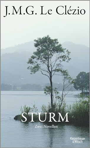 9783462047875: Sturm: Zwei Novellen