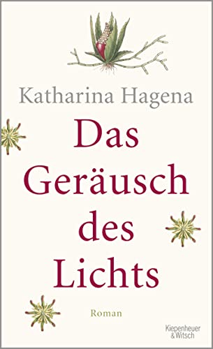 Stock image for Das Gerusch des Lichts: Roman for sale by medimops