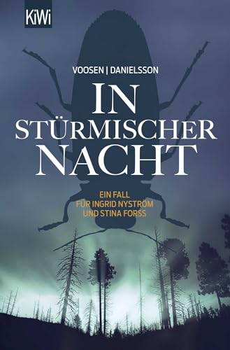 Stock image for In strmischer Nacht -Language: german for sale by GreatBookPrices