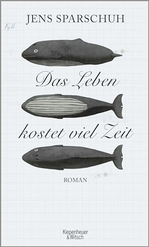 Stock image for Das Leben kostet viel Zeit. Roman. for sale by Antiquariat Mercurius