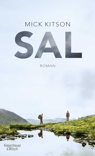 Stock image for Sal: Roman for sale by medimops