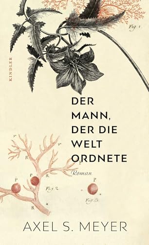 Stock image for Der Mann, der die Welt ordnete for sale by medimops