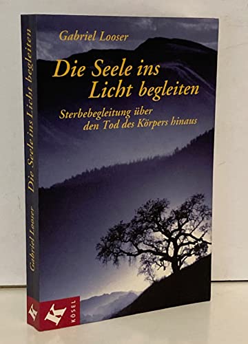 Stock image for Die Seele ins Licht begleiten for sale by medimops