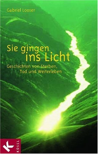 Stock image for Sie gingen ins Licht: Geschichten von Sterben, Tod und Weiterleben for sale by Antiquariat Nam, UstId: DE164665634