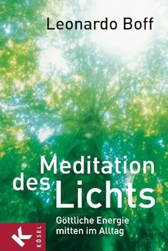 Meditation des Lichts: Göttliche Energie mitten im Alltag - Boff, Leonardo