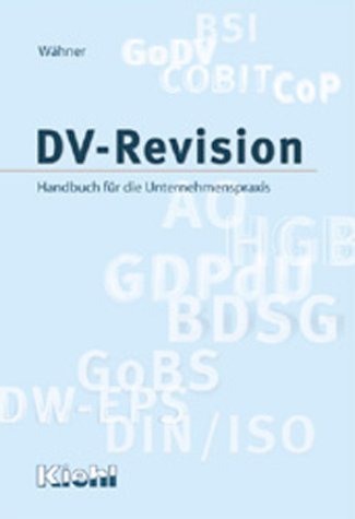 Beispielbild fr DV-Revision: Handbuch fr die Unternehmenspraxis zum Verkauf von medimops