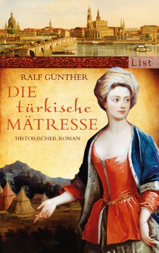 Stock image for Die trkische Mtresse: Historischer Roman for sale by medimops