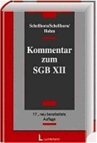 Stock image for Kommentar zum SGB XII - Sozialhilfe for sale by medimops