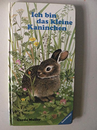 Stock image for Ich bin das kleine Kaninchen for sale by Elke Noce