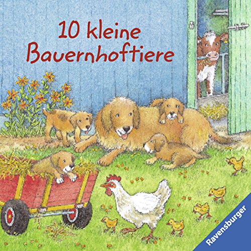 Stock image for 10 kleine Bauernhoftiere for sale by medimops