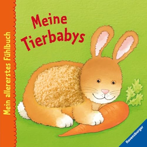 Beispielbild fr Mein allererstes Fhlbuch: Meine Tierbabys zum Verkauf von medimops