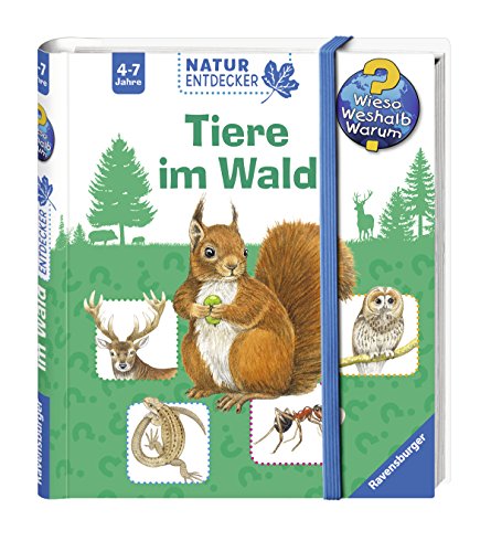 Beispielbild fr Tiere im Wald (Wieso? Weshalb? Warum? Natur-Entdecker) zum Verkauf von medimops