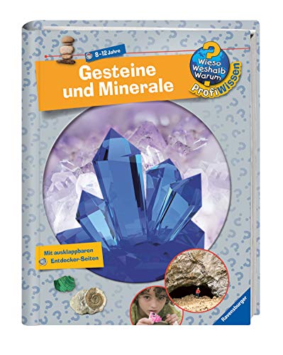 Stock image for Gesteine und Minerale (Wieso? Weshalb? Warum? ProfiWissen, Band 16) for sale by medimops