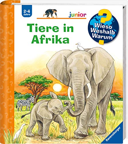 Tiere in Afrika (9783473328857) by Prusse, Daniela