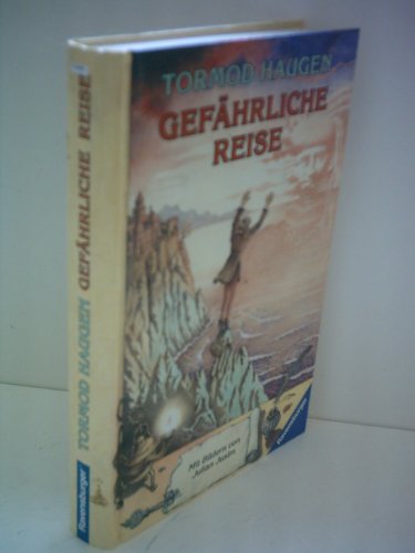 9783473343416: Gefhrliche Reise