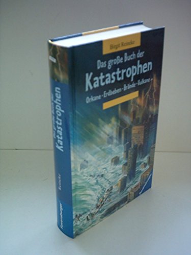 Das grosse Buch der Katastrophen - Reineke, Birgit; Sananikone, Dagmar