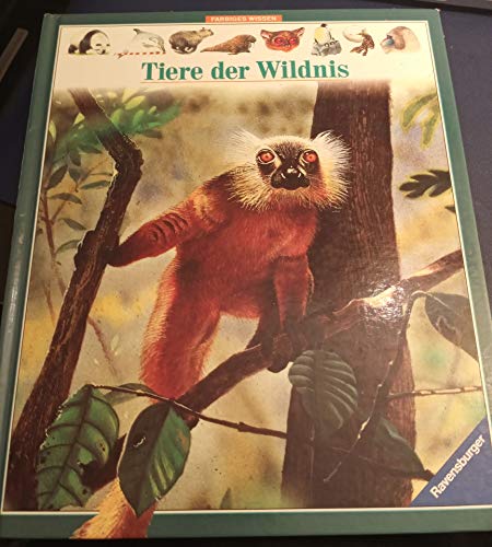 Beispielbild fr Farbiges Wissen: Tiere der Wildnis zum Verkauf von Eulennest Verlag e.K.