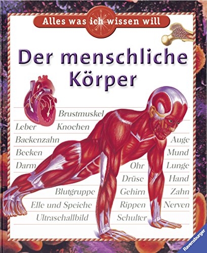 Der menschliche Körper.