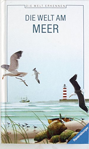 Stock image for Die Welt am Meer (Die Welt erkennen) for sale by Leserstrahl  (Preise inkl. MwSt.)