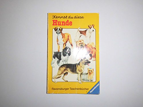 Stock image for Kennst du diese Hunde for sale by Eichhorn GmbH