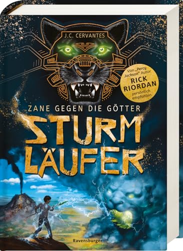 Stock image for Zane gegen die Gtter, Band 1: Sturmlufer for sale by medimops