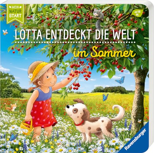 Imagen de archivo de Entdecke den Sommer mit Lotta a la venta por GreatBookPrices