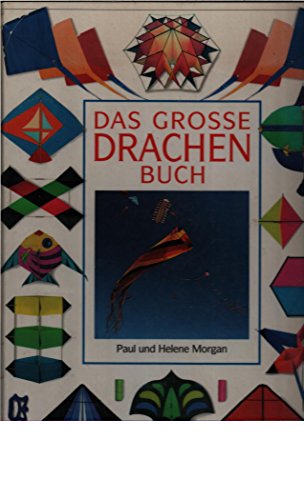 Stock image for Das grosse Drachenbuch for sale by medimops