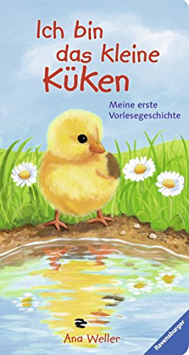 Ich bin das kleine Küken: Meine erste Vorlesegeschichte - Dierks, Hannelore