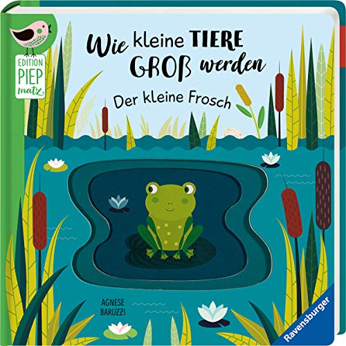 Beispielbild fr Wie kleine Tiere gro werden: Der kleine Frosch (Edition Piepmatz) zum Verkauf von medimops