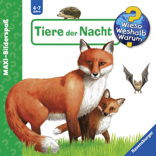 Imagen de archivo de Wieso? Weshalb? Warum? - Maxibilderspa: Tiere der Nacht a la venta por medimops