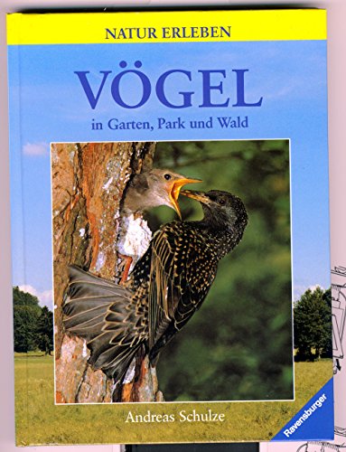 9783473460977: Vgel in Garten, Park und Wald