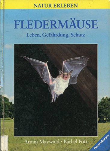 Stock image for Fledermuse: Leben, Gefhrdung, Schutz for sale by medimops