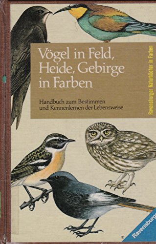 Beispielbild fr Vgel in Feld, Heide und Gebirge in Farben zum Verkauf von medimops