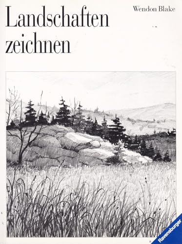 Imagen de archivo de Landschaften zeichnen. Bibliothek des Freizeitmalers a la venta por medimops