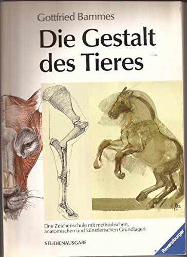 Beispielbild fr Die Gestalt des Tieres. Eine Zeichenschule mit methodischen, anatomischen und knstlerischen Grundlagen. zum Verkauf von Antiquariat & Verlag Jenior