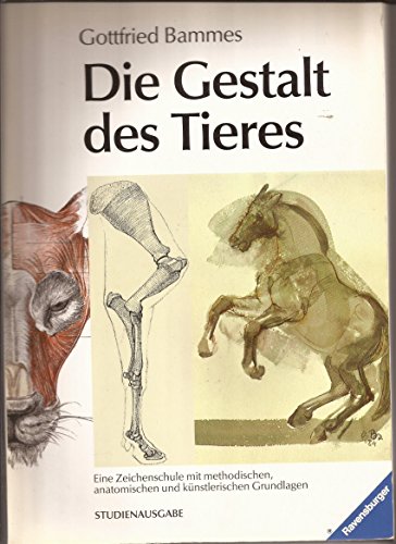 Stock image for Die Gestalt des Tieres. Studienausgabe for sale by medimops