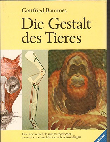 Stock image for Die Gestalt des Tieres for sale by medimops
