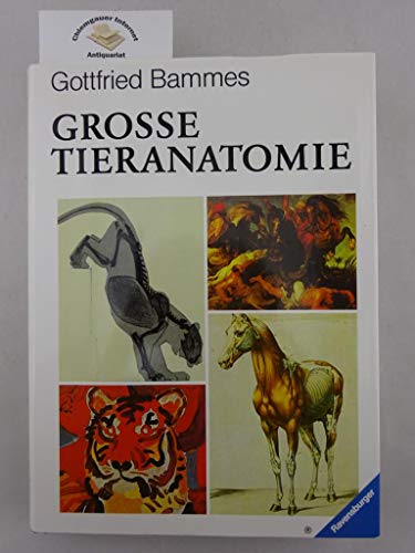 9783473483662: Die grosse Tieranatomie. Geschichte, Kunst, Anatomie