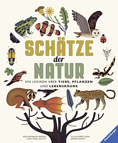 Imagen de archivo de Schtze der Natur: Ein Lexikon ber Tiere, Pflanzen und Lebensrume a la venta por medimops