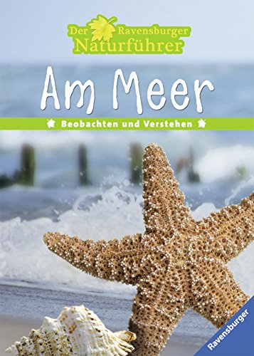 Stock image for Am Meer for sale by medimops