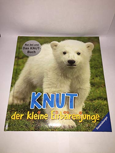 Stock image for Knut, der kleine Eisbärenjunge for sale by WorldofBooks
