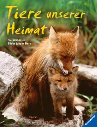 Stock image for Tiere unserer Heimat: Die schnsten Bilder junger Tiere for sale by medimops