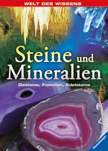 Beispielbild fr Welt des Wissens: Steine und Mineralien: Gesteine, Fossilien, Edelsteine zum Verkauf von medimops