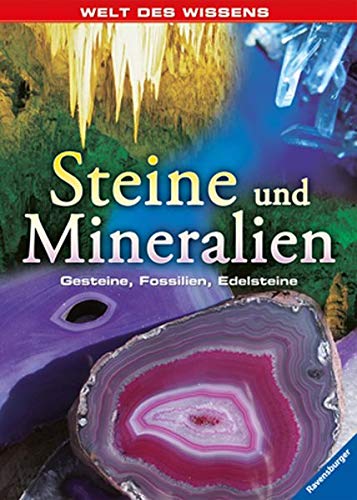 Stock image for Welt des Wissens: Steine und Mineralien: Gesteine, Fossilien, Edelsteine for sale by medimops