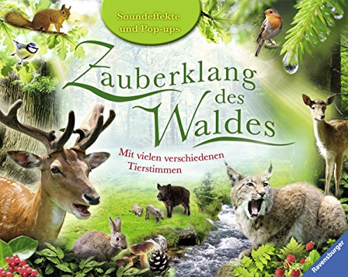Zauberklang des Waldes (9783473553372) by Unknown Author