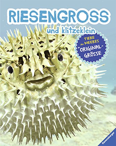 Beispielbild fr RIESENGROSS und klitzeklein: Tiere des Meeres in Originalgre zum Verkauf von Versandantiquariat Jena
